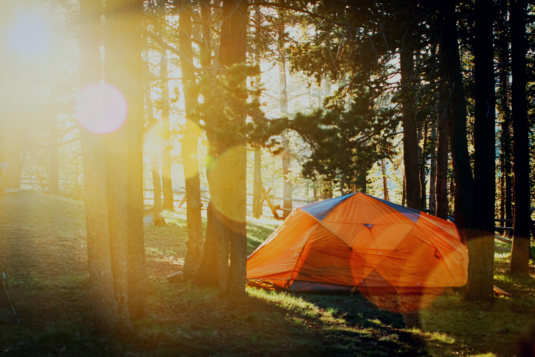 Photo of Tent in Forest